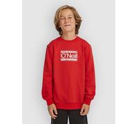O´neill Cali Sweatshirt Red 16 Years Boy