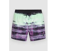 O'Neill Cali Gradient 15'' Boardshorts purple melted texture M