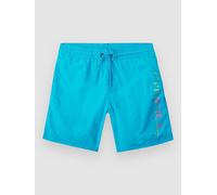 O'Neill Cali Melting 14'' Kids Boardshorts bachelor button 152