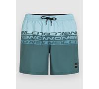 O'Neill Cali Stripe 16'' Boardshorts blue upside down XS