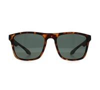 O'Neill Chagos Mens Matte Tortoise Sunglasses