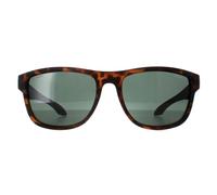 O'Neill Sunglasses Coast 102P Polarised Mens Matte Tortoise One Size
