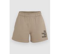 O'Neill Future Surf Society Shorts pumpkin smoke L