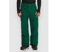 O'Neill Fwc'Cruz Cargo Pants emerald envy M