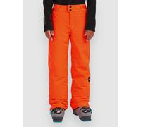 O'Neill Fwc'Cruz Kids Pants tokyo lights 152