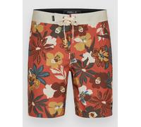 O'Neill Hyperfreak Mysto Scallop 19" Boardshorts ginger mysto scallop 32