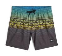 O´neill Logo Stripe Swimming Shorts Grey 7-8 Years Boy