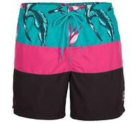 O'Neill Men's Frame Block Shorts Swim Red Multi Stripe, XL