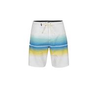 O'NEILL Men's Heat Stripe Line 19" Boardshorts Shorts, 11011 Birch, 30W