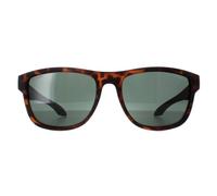 O'Neill Men's Oval Matte Tortoise Green Polarized Coast in Brown O'Neill Brown One Size