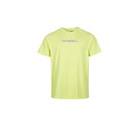 O'NEILL Men's Paxton T-Shirt, 12014 Sunny Lime, Medium-Large