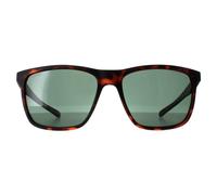 O'Neill Men's Square Matte Tortoise Green Polarized ONS-9005 in Brown O'Neill Brown One Size
