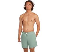 O'NEILL Mens Vert 16'' Swim Shorts