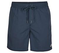 O'Neill Men's Vert Swim - Pantalones Cortos Para Hombre Swim Trunks, 15011 Ink Blue, Regular