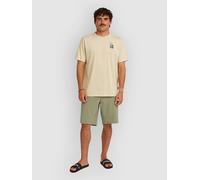 O'Neill O'Neill Hybrid 19" Shorts avery fern 31