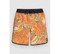 O´neill O´riginals Scallop 16´´ Swimming Shorts Orange 2XL Men