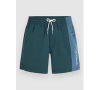 O´neill Retro 14´´ Swimming Shorts Green,Blue M Men