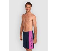O´neill Retro 19´´ Swimming Shorts Blue M Men