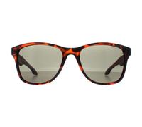 O'Neill Sunglasses Shore 102 Matte Tortoise Grey