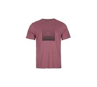 O'NEILL Tees Shortsleeve Gradient Cube T-Shirt (Pack of 2) for Men, 13013 Night, X-Small-Small