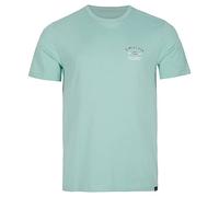 O'NEILL Tees State Chest Artwork Men's T-Shirt T-Shirt, 16015 Aquifer, Regular (2-Pack)
