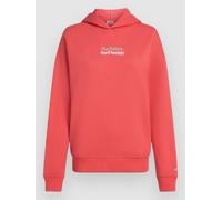 O'Neill The Future Surf Society Hoodie froly S