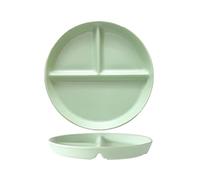OnePine Porcelain Diet Dinner 3 Compartment Plate, Portion Control Plates, Divided Dinner Plates for Adults