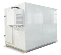 ONETOALL Mobile Freezers, Caster-Mounted Cold Room, Reefer Container with Reliable Cooling, Commercial Refrigerated Trailer for Food Delivery, Catering Supply & Long-Haul Freight
