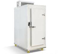 ONETOALL Mobile Freezers, Caster-Mounted Cold Room, Reefer Container with Reliable Cooling, Commercial Refrigerated Trailer for Food Delivery, Catering Supply & Long-Haul Freight