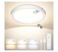 ONEWEST Rechargeable Motion Sensor Ceiling Light with Remote