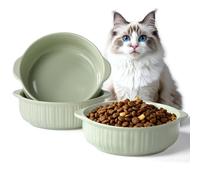 ONIANT Cat Food Bowl with Handle, 6 inch Ceramic Cat Food and Water Feeder Set, Modern Vertical Texture Design, Kitten Bowls for Indoor Cats and Small Dogs, Microwave Dishwasher Safe, Green - 2 Pack