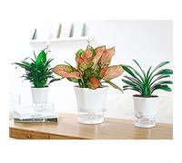 Oniissy Self Watering Planters, 3pcs 11/15/20cm Plastic Plant Pot/Flower Pots with Cotton Rope and Large Water Storage, for House Plants, Flowers, Herbs - White