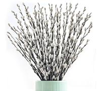 Oning 60 Stems 17＂Real Dried PussyWillow Branches for Vase, Natural PussyWillows with White Flowers, Snow Willow Branches for Indoor and Outdoor Decor, Wedding Home Party Hotel Fireplace Yard