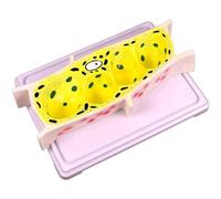 Onion Epidermal Cell Model Plant Cell Model Microscope Magnification Model Colorful Biology Teaching Model for Learning