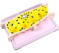 Onion Epidermal Cell Model Standard Microscope Torso Body Anatomical Models Plant Cell Plant Cell Plant Cell Morphology and Structure Teaching Model