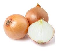 Onion Plants - 'Japanese' - 18 x Full Plant Pack - Onions - Garden Ready - Ready to Plant - Premium Quality Vegetable Plants