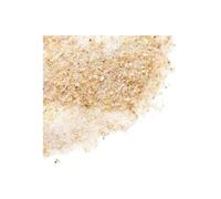 Onion Salt 100% Natural Seasoning Spices HerbsnSpiceit (50g)