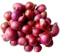 Onion Shallots I Small Onion I Indian Origin I 2000G