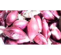 Onions of Tropea Kg. 2,5
