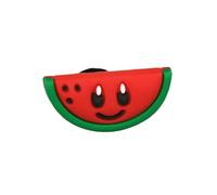 Online Charms Shoe Charms for Clogs & Crocs, 250 Fun Designs, Animal, Fruits, Alphabets Crocs Accessories for Kids &, Melon (38)