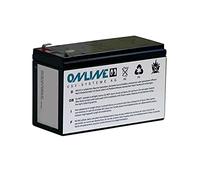 Online USV-Systeme Replacement Battery for Zinto A 1500 1500BP BCZA1500