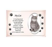 OnlineStreet Glass Frame My Pet Memorial Picture Frame with Sentimental Word and Paw Designs | Remembrance Photo Frame | My Pet Memory 10x15 cm (My Cat)