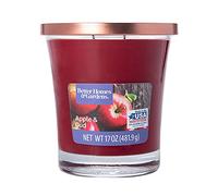 OnlineStreet Wax Melts Scented Candles in Glass Jars with Lids - Coloured Two Scents; Spicy Cinnamon Candle Sticks and Black Violet & Iris 60-Hour Burn Time, Great for Home Decor (Apple Oud)