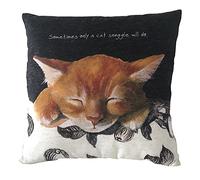 Only A Cat Snuggle Will Do Cushion Little Dog Laughed Gift 40cm x 40cm Square LDCUS11