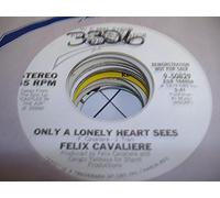 only a lonely heart sees / same 45 rpm single