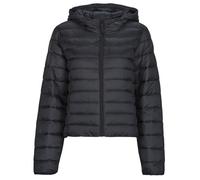 Only Duffel coats ONLTAHIA LW QUILTED HOOD in Black EU L