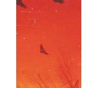 Only Have Faith: Veracruz