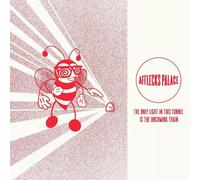 Only Light In This Tunnel Is the Oncoming Train