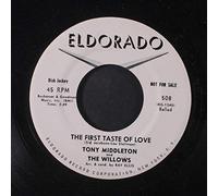 only my heart / the first taste of love