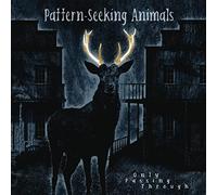 Pattern-Seeking Animals - Only Passing Through